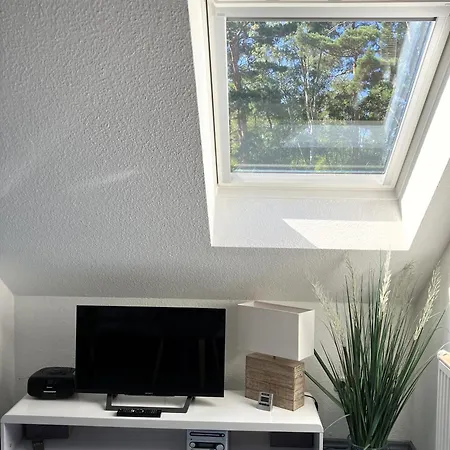 App 255haus 6