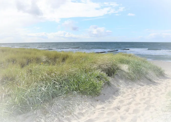 App 255haus 6 Lejlighed